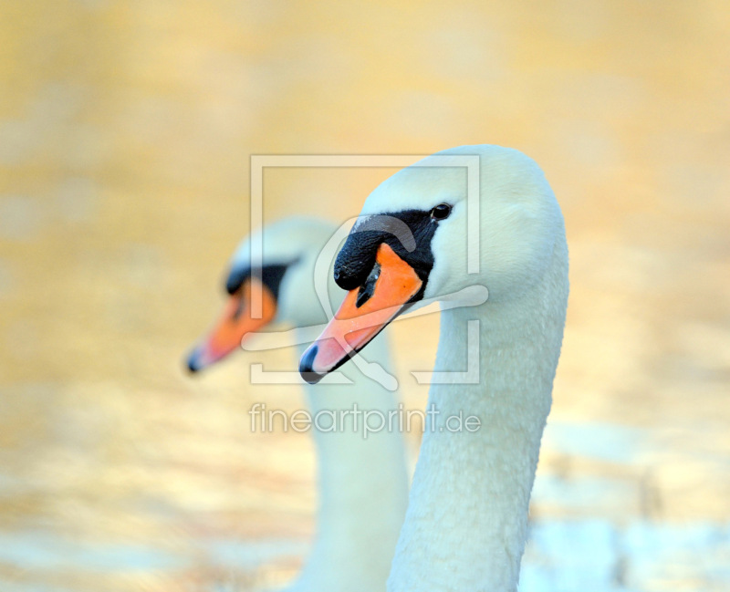 frei wählbarer Bildausschnitt für Ihr Bild auf Tapete