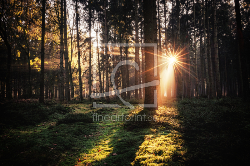 frei w&auml;hlbarer Bildausschnitt f&uuml;r Ihr Bild auf Tapete