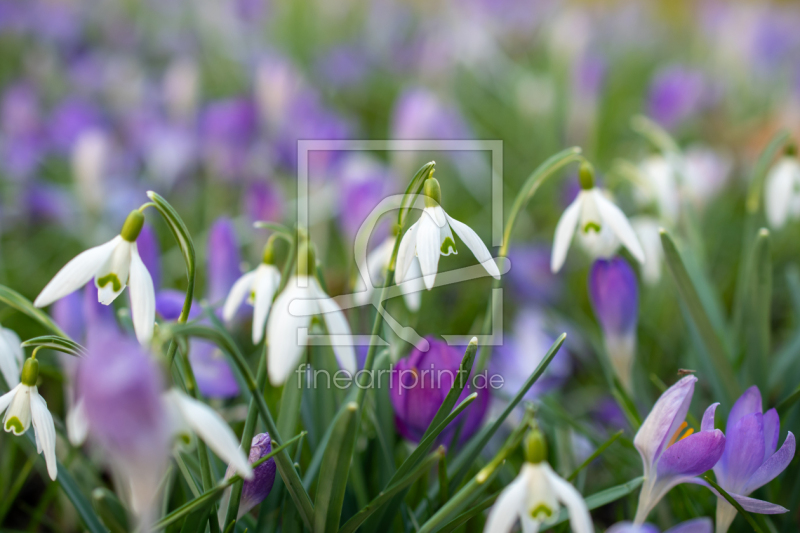 frei w&auml;hlbarer Bildausschnitt f&uuml;r Ihr Bild auf Tapete