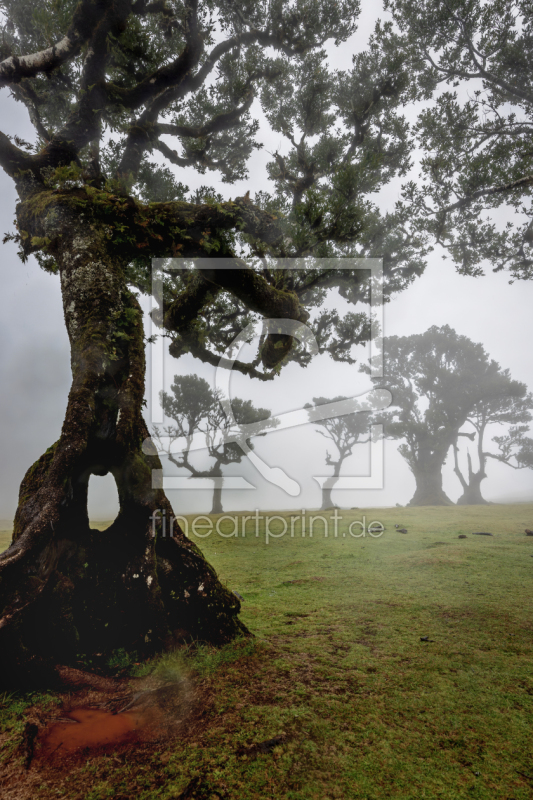frei w&auml;hlbarer Bildausschnitt f&uuml;r Ihr Bild auf Tapete