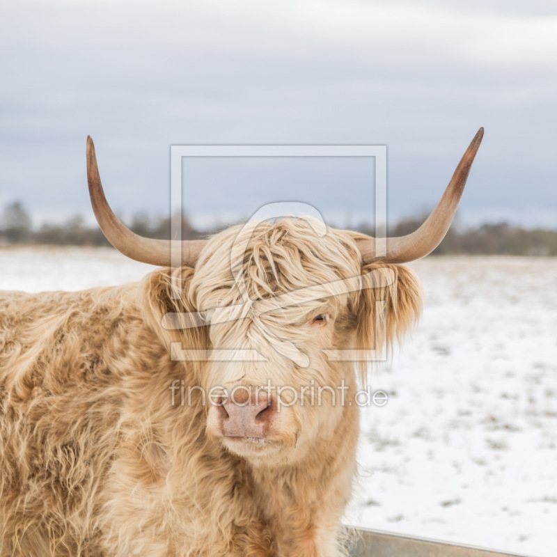 frei wählbarer Bildausschnitt für Ihr Bild auf Tapete
