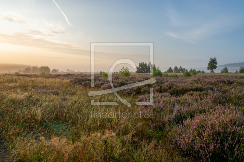 frei w&auml;hlbarer Bildausschnitt f&uuml;r Ihr Bild auf Tapete