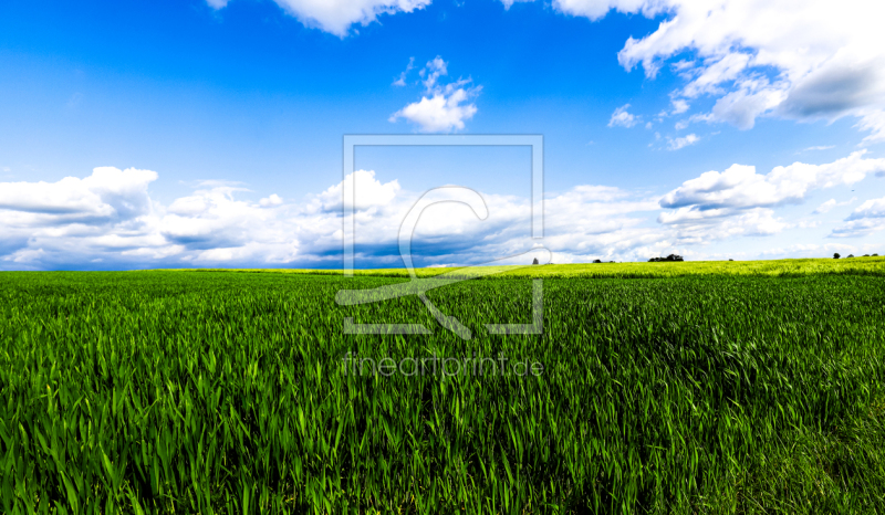 frei w&auml;hlbarer Bildausschnitt f&uuml;r Ihr Bild auf Tapete