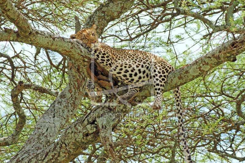frei w&auml;hlbarer Bildausschnitt f&uuml;r Ihr Bild auf Tapete