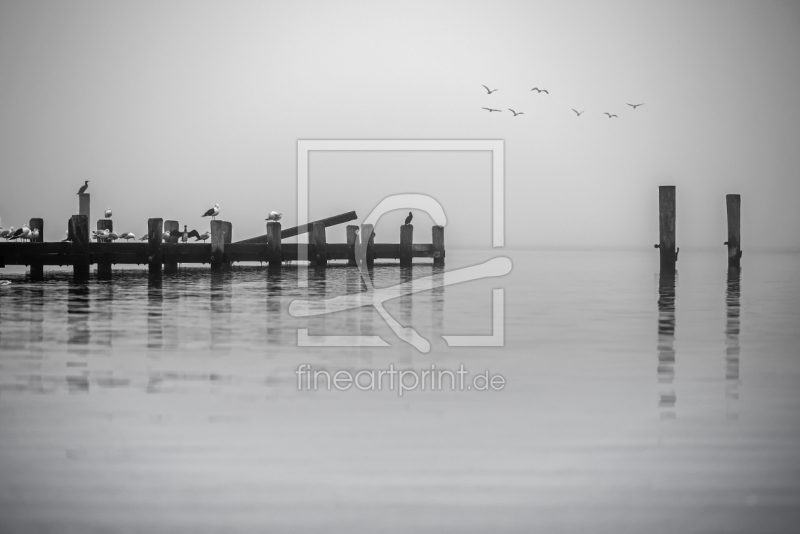 frei w&auml;hlbarer Bildausschnitt f&uuml;r Ihr Bild auf Tapete