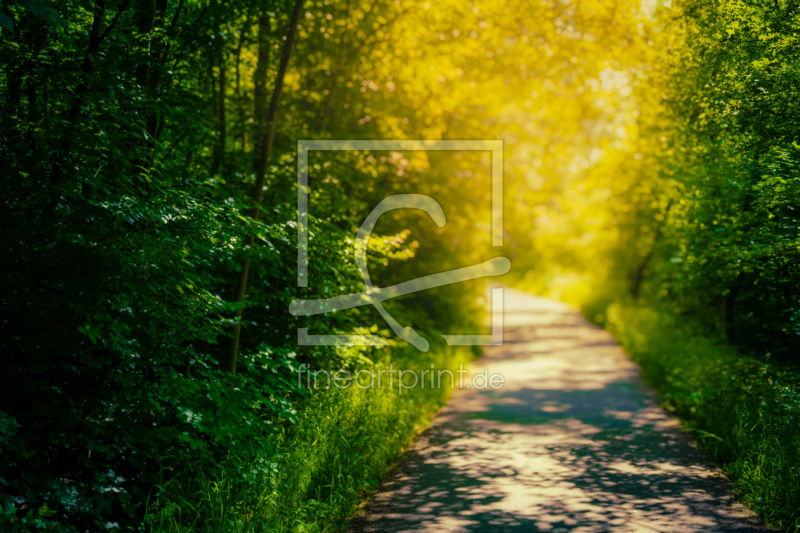 frei wählbarer Bildausschnitt für Ihr Bild auf Tapete