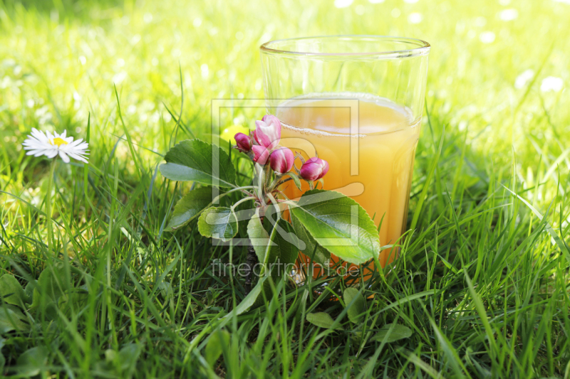 frei w&auml;hlbarer Bildausschnitt f&uuml;r Ihr Bild auf Tapete