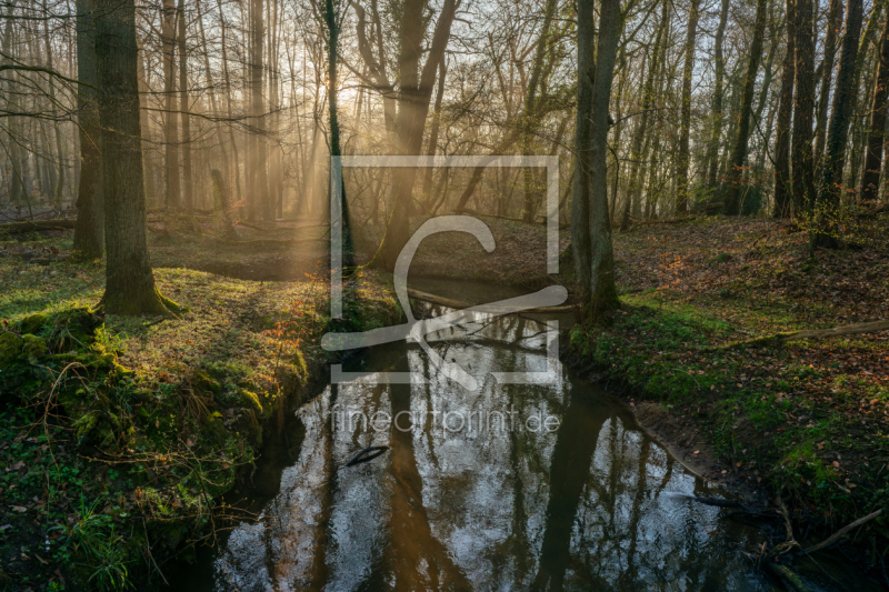 frei w&auml;hlbarer Bildausschnitt f&uuml;r Ihr Bild auf Tapete