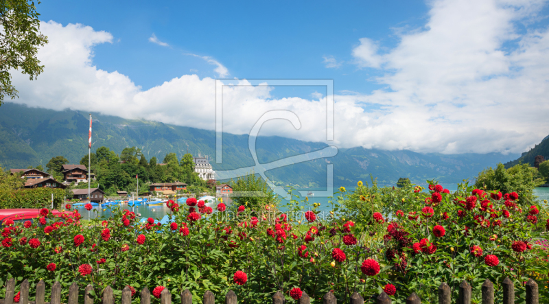 frei wählbarer Bildausschnitt für Ihr Bild auf Tapete