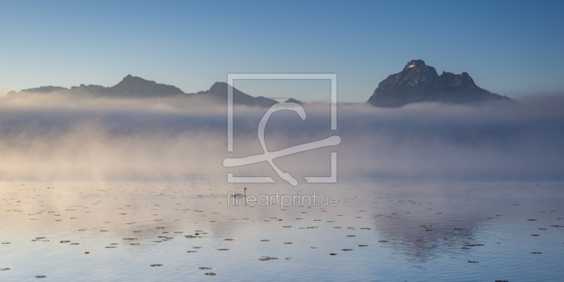 frei wählbarer Bildausschnitt für Ihr Bild auf Tapete