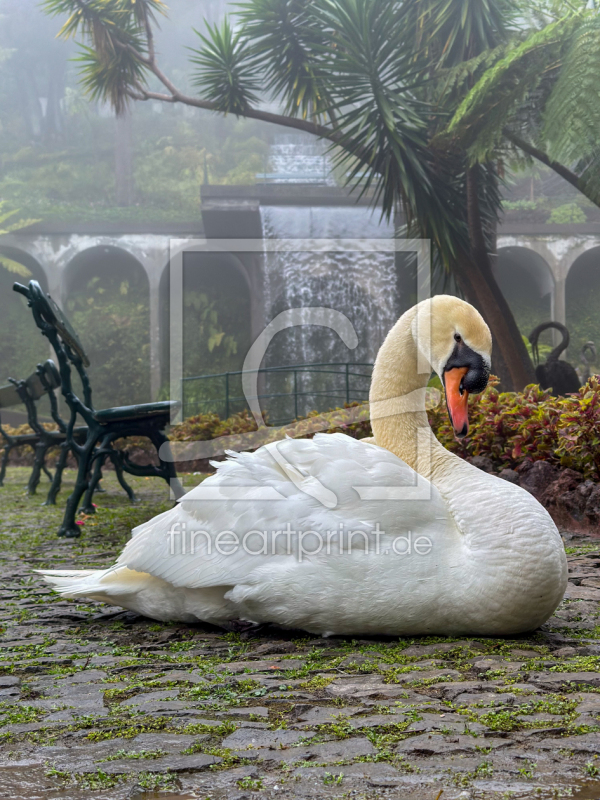 frei wählbarer Bildausschnitt für Ihr Bild auf Tapete