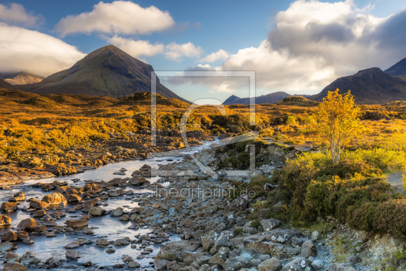 frei wählbarer Bildausschnitt für Ihr Bild auf Tapete