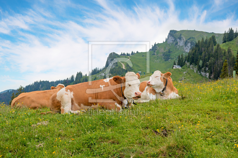 frei wählbarer Bildausschnitt für Ihr Bild auf Tapete