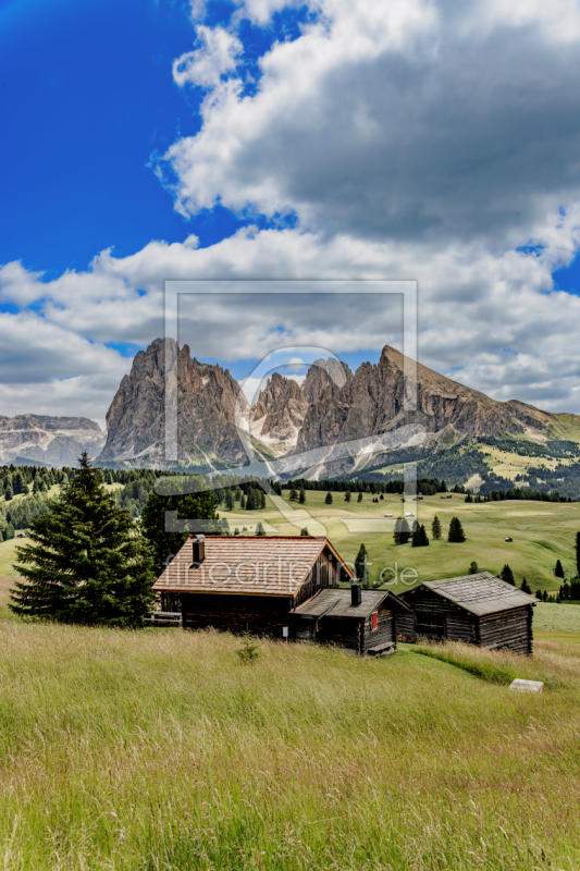 frei wählbarer Bildausschnitt für Ihr Bild auf Tapete