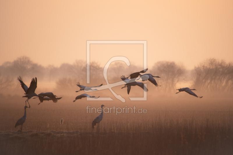 frei wählbarer Bildausschnitt für Ihr Bild auf Tapete