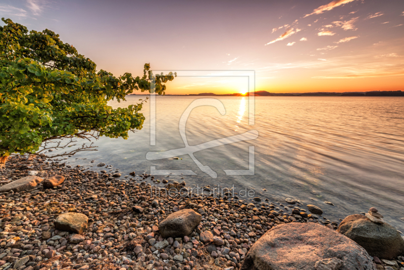 frei wählbarer Bildausschnitt für Ihr Bild auf Tapete