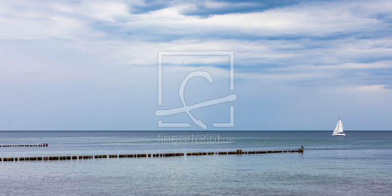 frei wählbarer Bildausschnitt für Ihr Bild auf Tapete