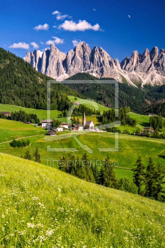 frei wählbarer Bildausschnitt für Ihr Bild auf Tapete