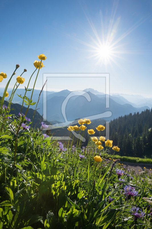 frei w&auml;hlbarer Bildausschnitt f&uuml;r Ihr Bild auf Tapete