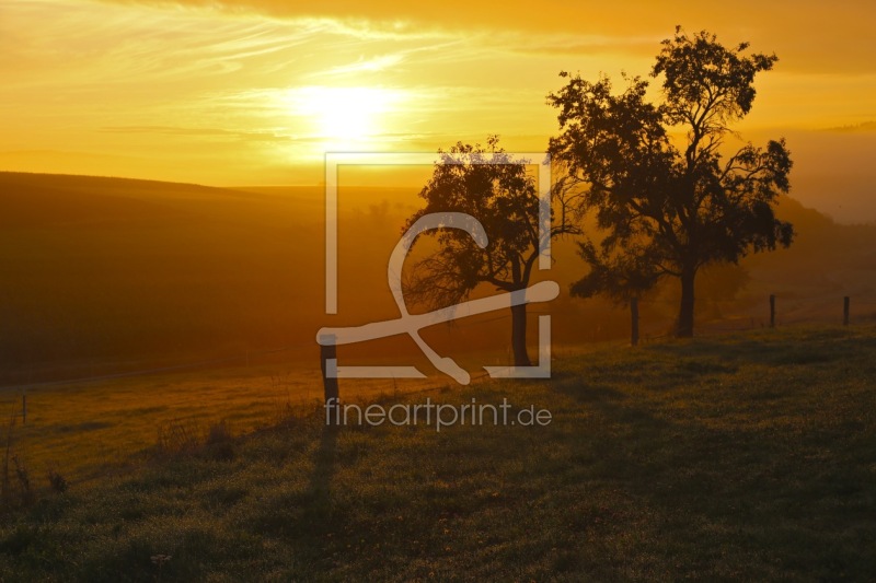 frei wählbarer Bildausschnitt für Ihr Bild auf Tapete