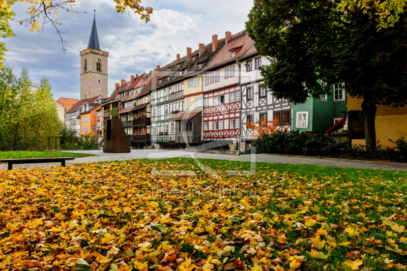 frei wählbarer Bildausschnitt für Ihr Bild auf Tapete