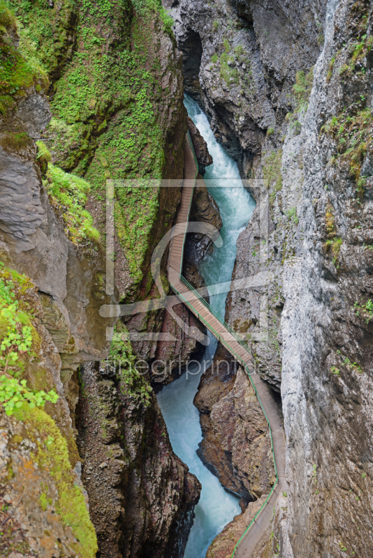 frei w&auml;hlbarer Bildausschnitt f&uuml;r Ihr Bild auf Tapete