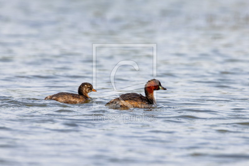 frei w&auml;hlbarer Bildausschnitt f&uuml;r Ihr Bild auf Tapete
