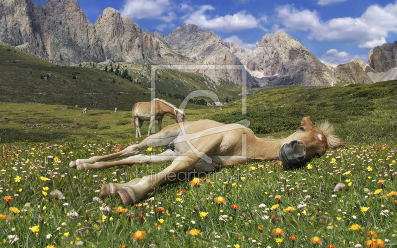 frei w&auml;hlbarer Bildausschnitt f&uuml;r Ihr Bild auf Tapete