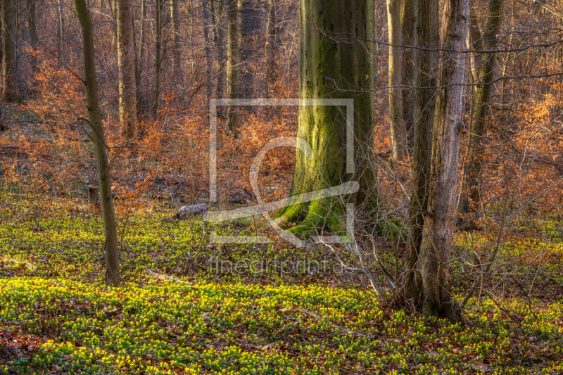 frei w&auml;hlbarer Bildausschnitt f&uuml;r Ihr Bild auf Tapete