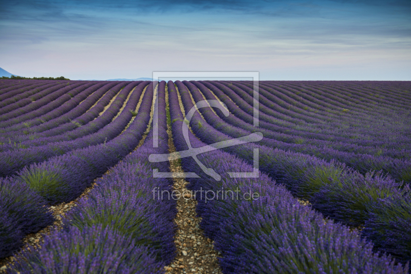 frei w&auml;hlbarer Bildausschnitt f&uuml;r Ihr Bild auf Tapete