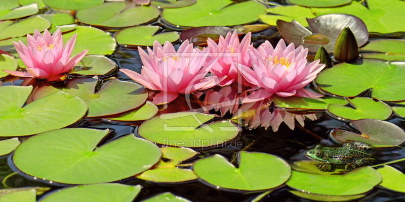 frei w&auml;hlbarer Bildausschnitt f&uuml;r Ihr Bild auf Tapete