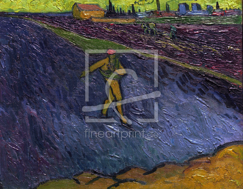 frei wählbarer Bildausschnitt für Ihr Bild auf Tapete