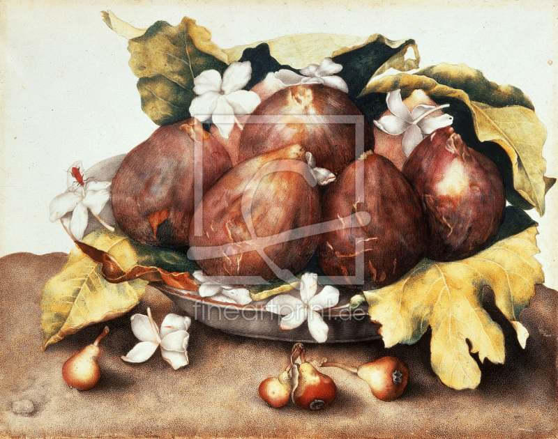 frei w&auml;hlbarer Bildausschnitt f&uuml;r Ihr Bild auf Tapete