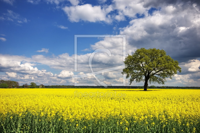 frei wählbarer Bildausschnitt für Ihr Bild auf Tapete