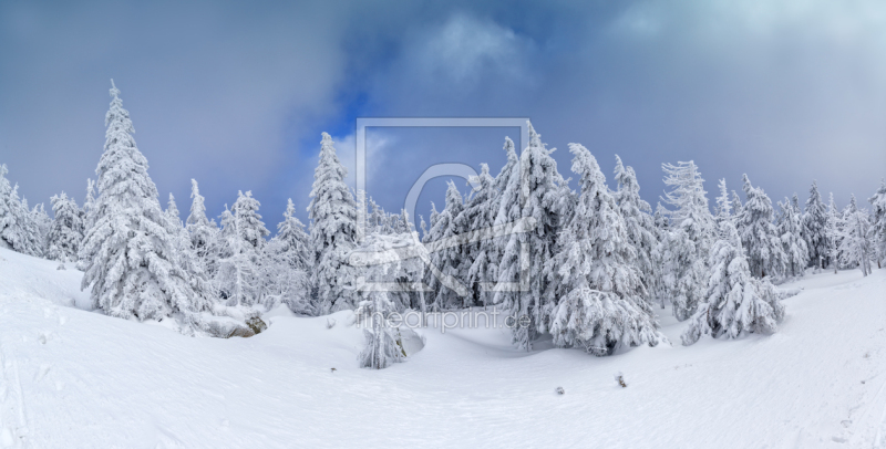 frei wählbarer Bildausschnitt für Ihr Bild auf Tapete