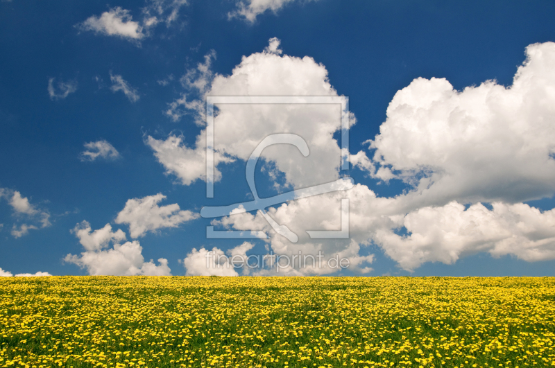 frei wählbarer Bildausschnitt für Ihr Bild auf Tapete