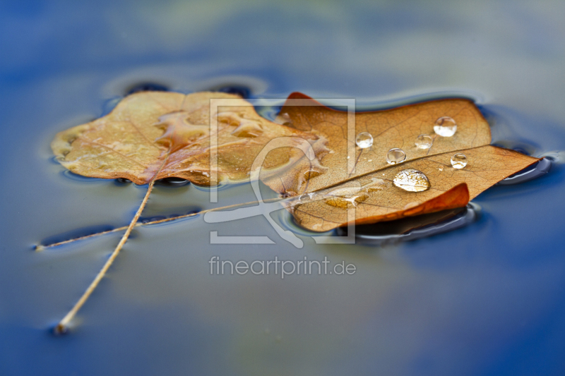 frei w&auml;hlbarer Bildausschnitt f&uuml;r Ihr Bild auf Tapete