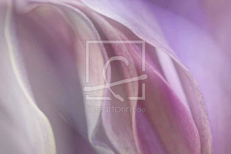 frei w&auml;hlbarer Bildausschnitt f&uuml;r Ihr Bild auf Tapete