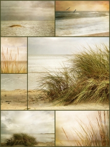 Bild-Nr: 11134680 Nordseeimpressionen Erstellt von: Anja Otto