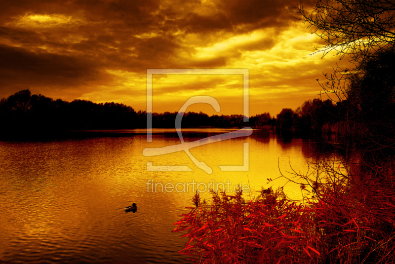 frei w&auml;hlbarer Bildausschnitt f&uuml;r Ihr Bild auf Tasse