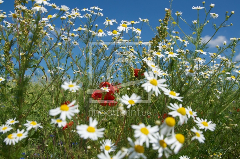 frei wählbarer Bildausschnitt für Ihr Bild auf Tasse