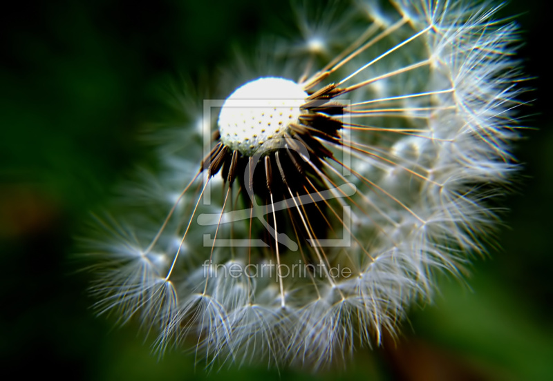 frei w&auml;hlbarer Bildausschnitt f&uuml;r Ihr Bild auf Tasse
