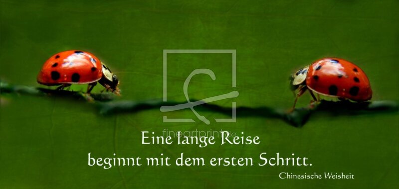 frei wählbarer Bildausschnitt für Ihr Bild auf Tasse