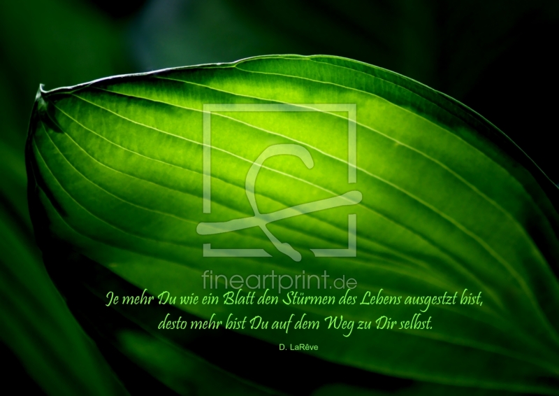 frei wählbarer Bildausschnitt für Ihr Bild auf Tasse