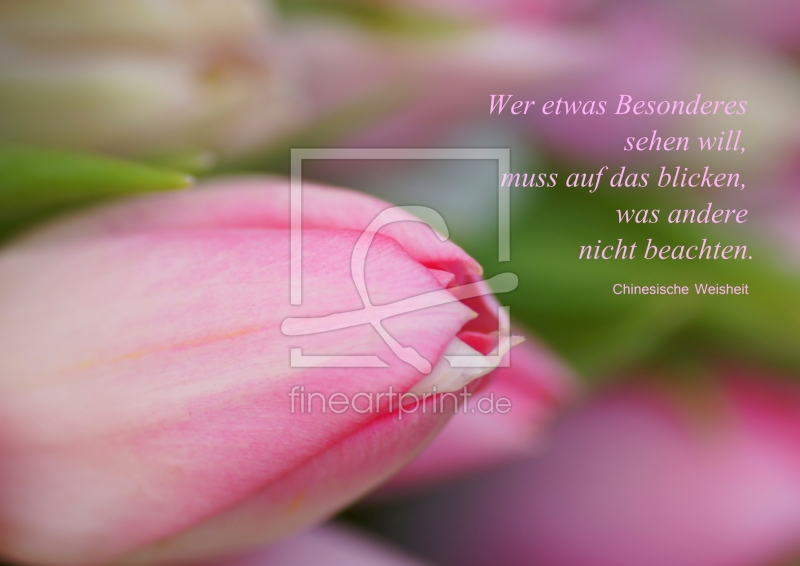 frei wählbarer Bildausschnitt für Ihr Bild auf Tasse