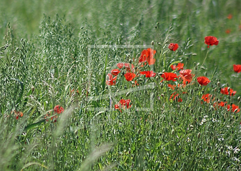 frei wählbarer Bildausschnitt für Ihr Bild auf Tasse