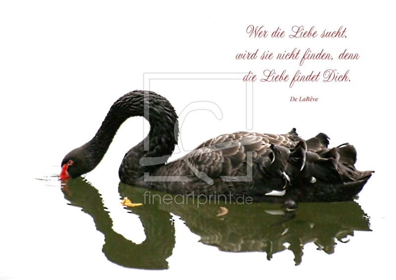 frei wählbarer Bildausschnitt für Ihr Bild auf Tasse