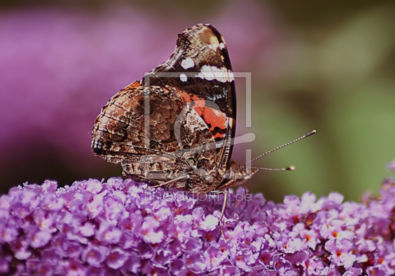 frei wählbarer Bildausschnitt für Ihr Bild auf Tasse
