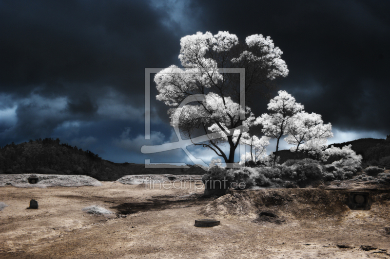 frei wählbarer Bildausschnitt für Ihr Bild auf Tasse