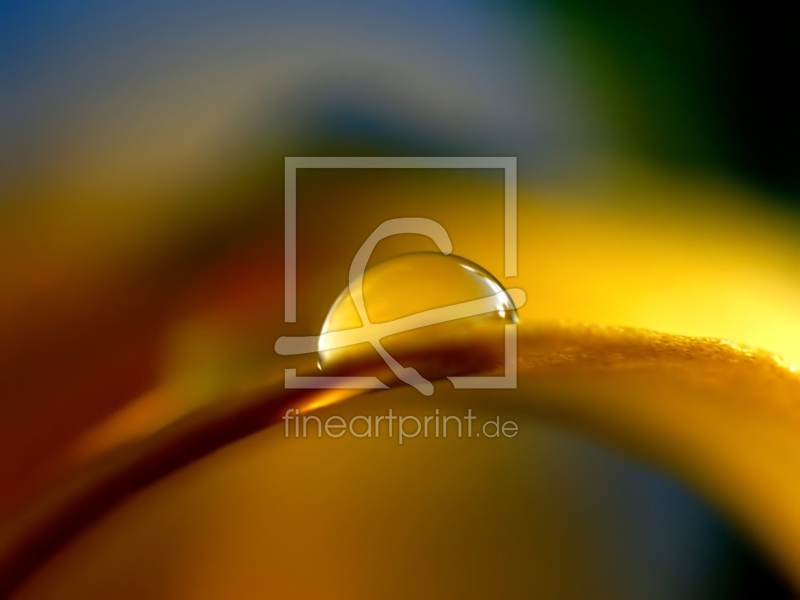 frei w&auml;hlbarer Bildausschnitt f&uuml;r Ihr Bild auf Tasse